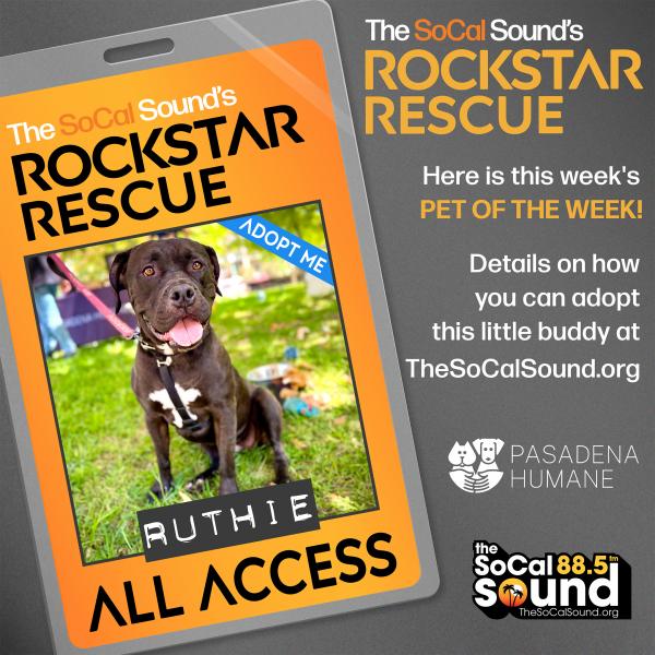 KCSN RockstarRescue PotW 071425 2 1080x1081