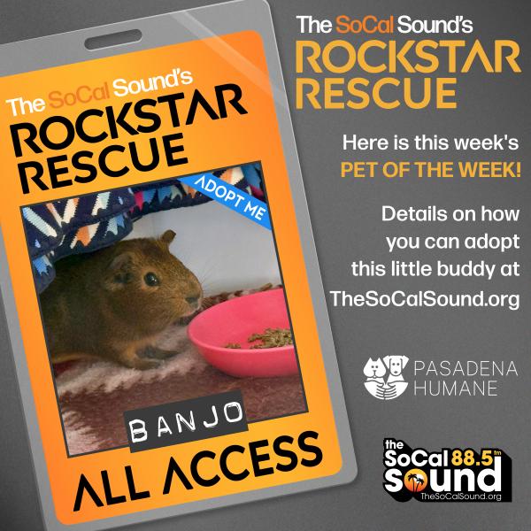 KCSN RockstarRescue PotW BANJO 080525 2 1080x1082