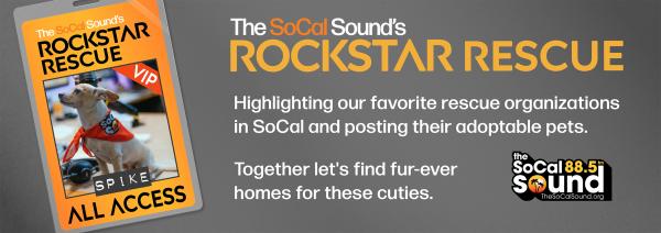 KCSN RockstarRescue General 071425 6 1130x402