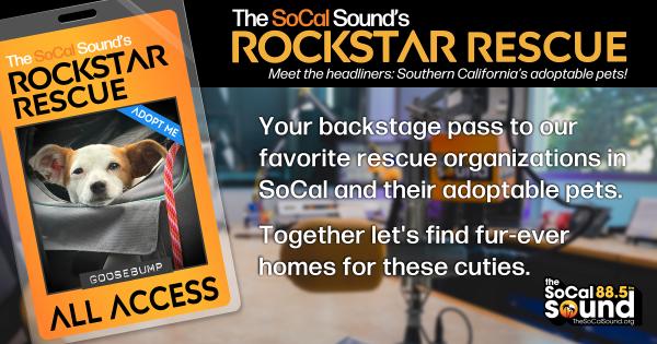 KCSN RockstarRescue PotW 061726 CreateOutlines FACEBOOK 1200x630