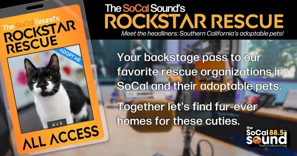 KCSN RockstarRescue PotW 072926 CreateOutlines FACEBOOK 1200x631
