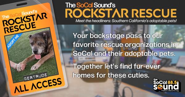 KCSN RockstarRescue PotW 110325 CreateOutlines FACEBOOK 1200x630