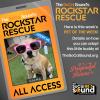 This little cutie is ready to be the star of your family - CALMA - our PET OF THE WEEK!